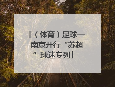 （体育）足球——南京开行“苏超”球迷专列
